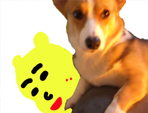 �����Ƃ��͋C����������